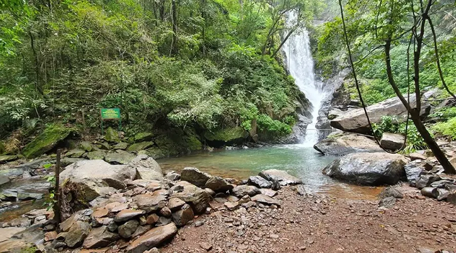 Netravali Waterfall Trek, Goa
